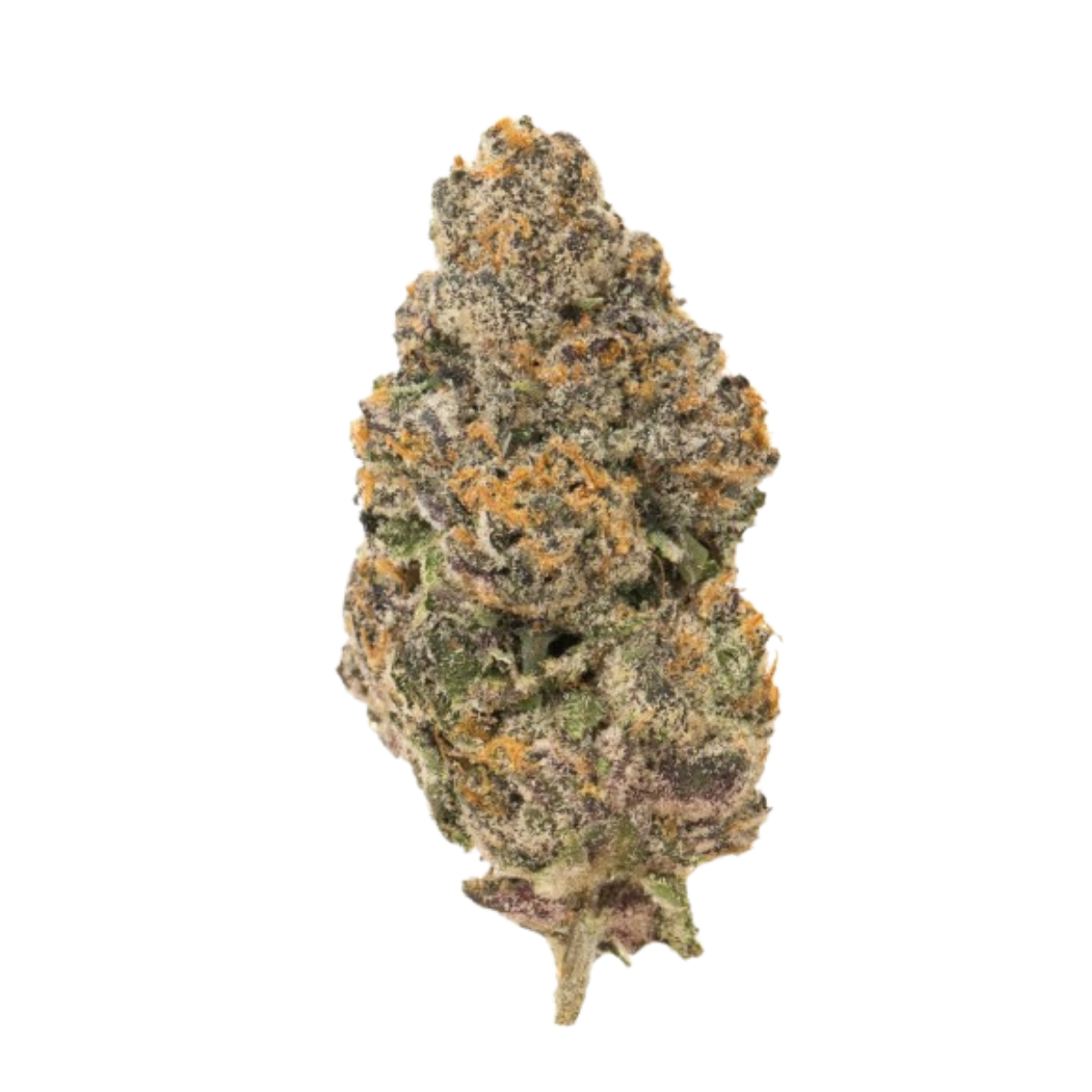 Tricomas: por qué importan tanto en una flor de CBD