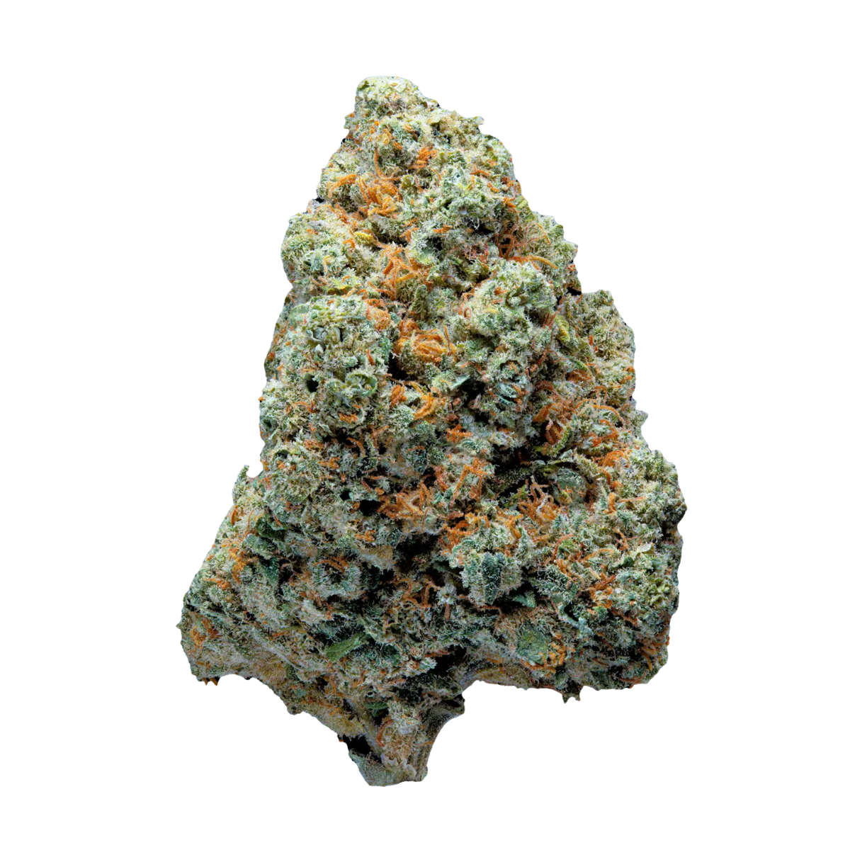 Cómo reconocer una flor de CBD de calidad