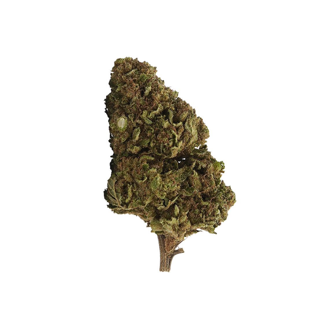 White Widow CBD: la variedad cubierta de tricomas