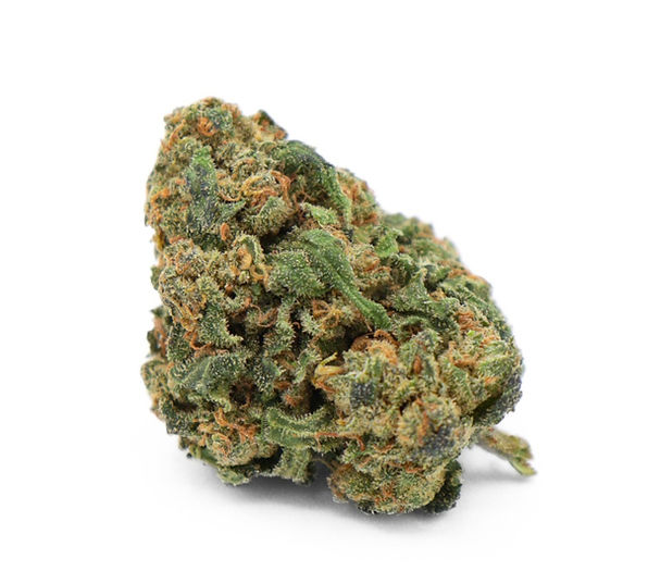 Humedad de las flores de CBD: el nivel adecuado para conservarlas