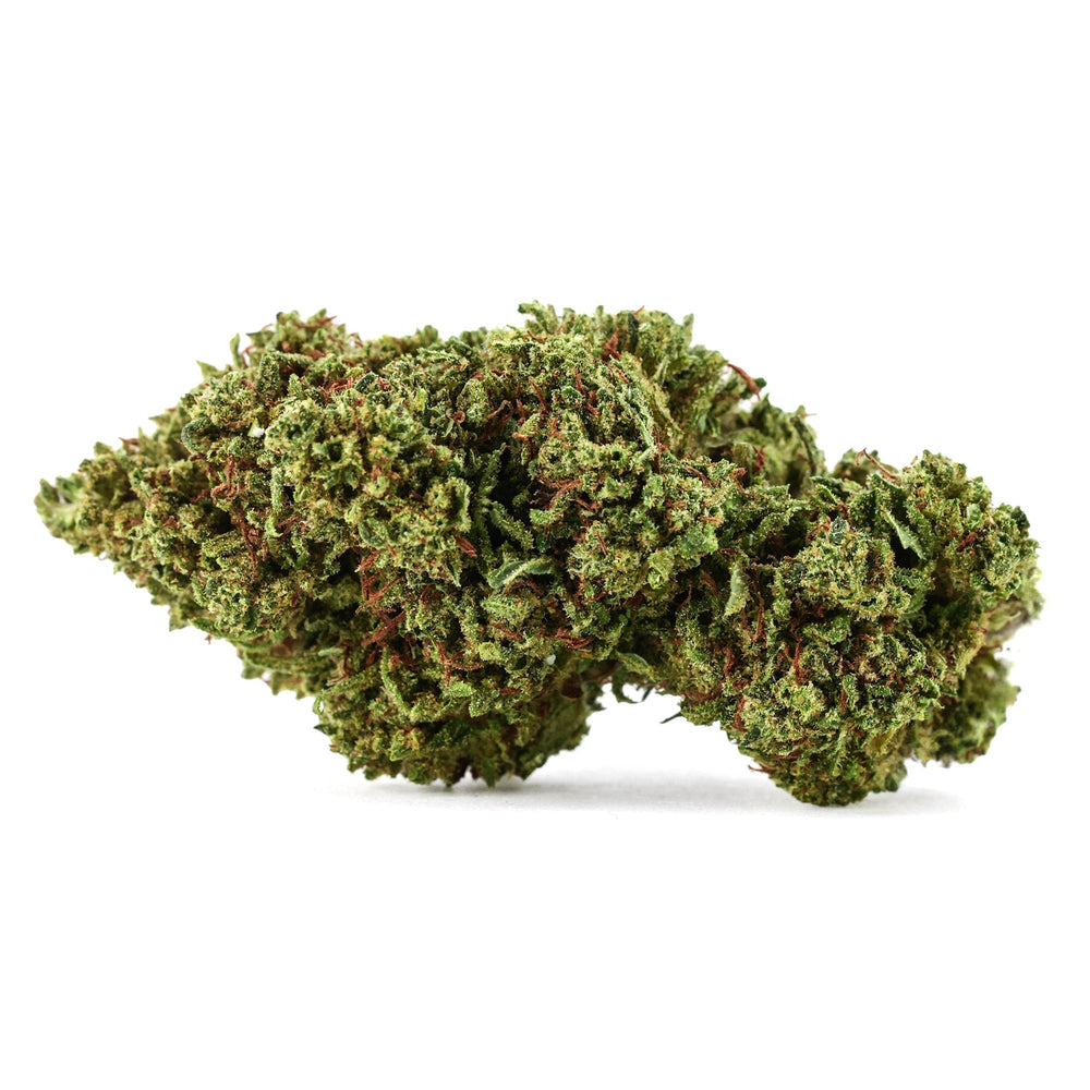 Gorilla Glue TH9C – flor TH9C BUDZ DISTRICT