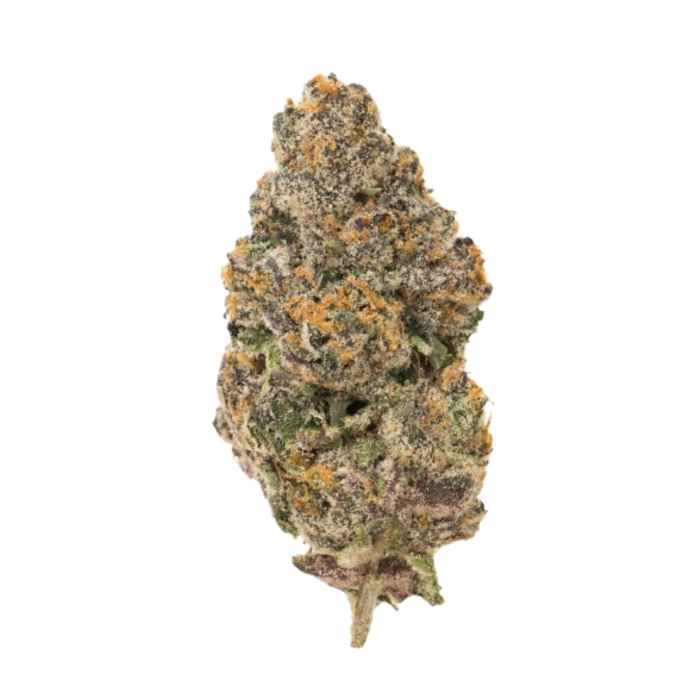 Biscotti THC+ – flor THC+ BUDZ DISTRICT