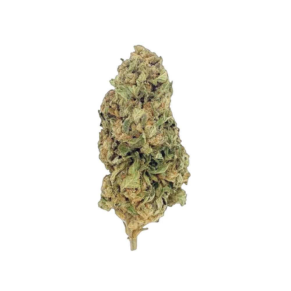 Lemon 10-OH-HHC – flor 10-OH-HHC BUDZ DISTRICT