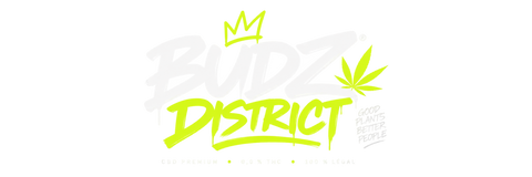 BUDZ DISTRICT ES