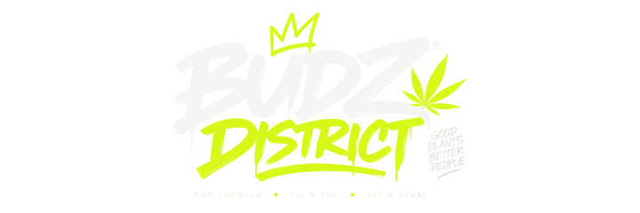 BUDZ DISTRICT ES