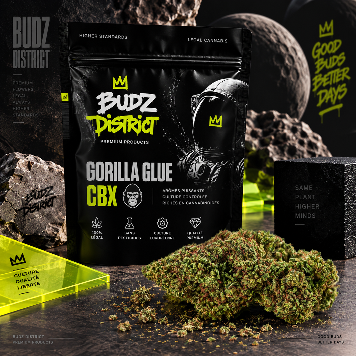 Gorilla Glue TH9C – bolsa BUDZ DISTRICT, flor TH9C