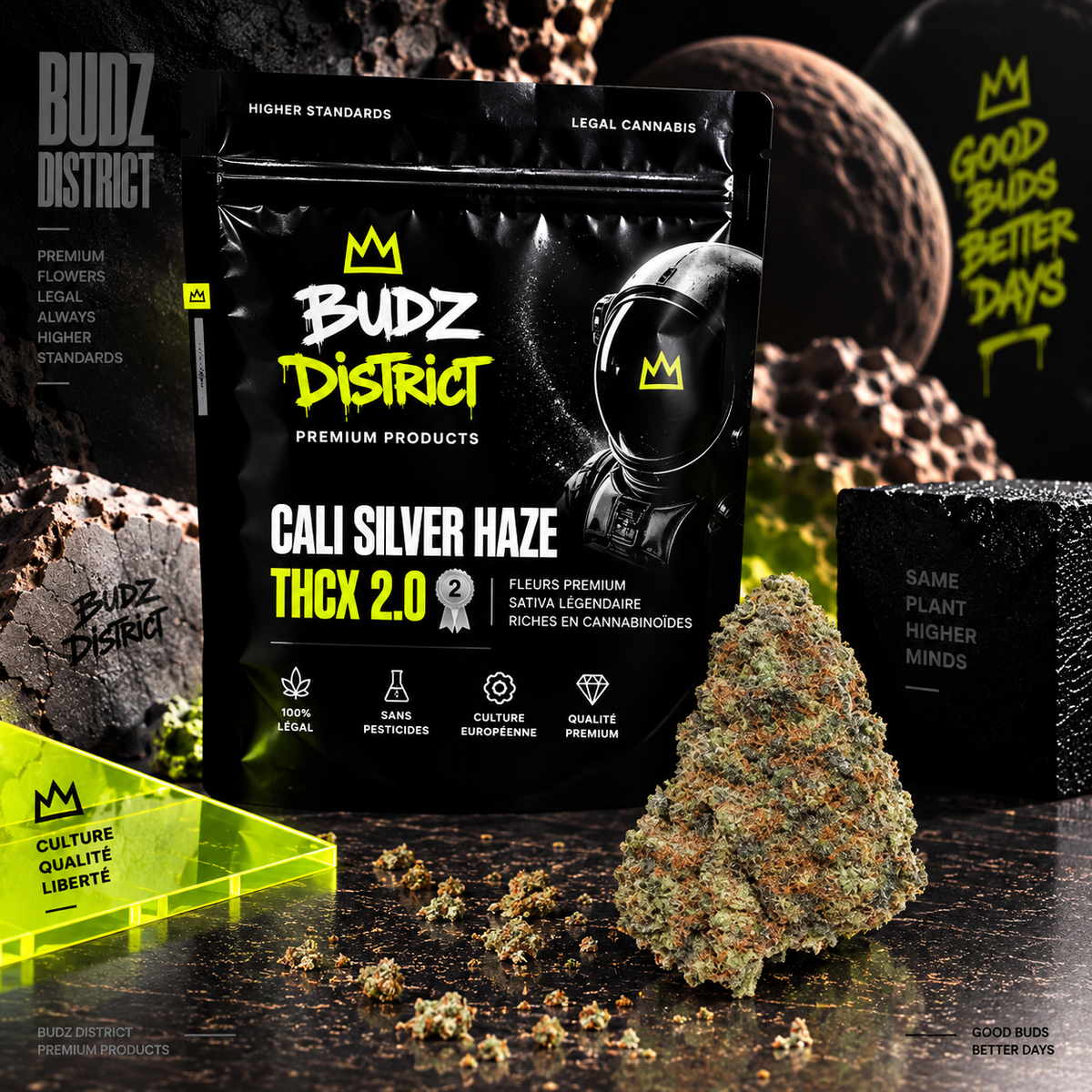 Cali Silver Haze HHX – bolsa BUDZ DISTRICT, flor HHX
