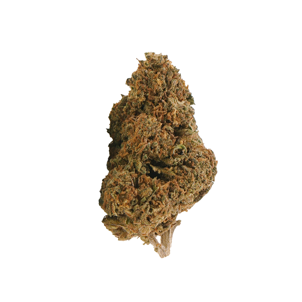 Jack Herer HHX – flor HHX BUDZ DISTRICT