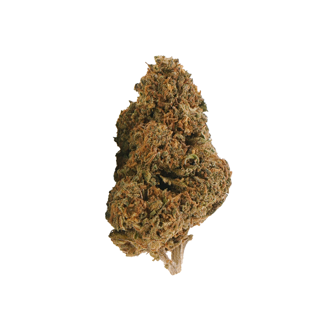 Jack Herer HHX – flor HHX BUDZ DISTRICT