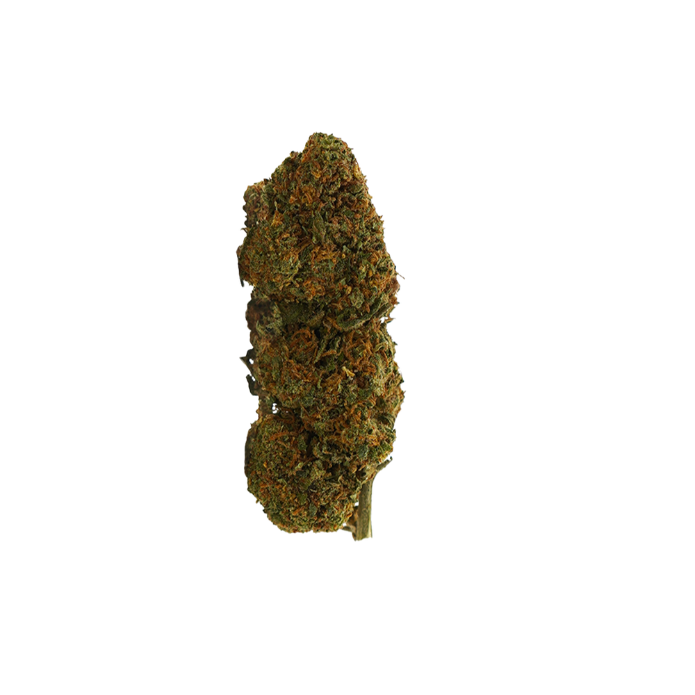 Prime Kush THC-NM – flor THC-NM BUDZ DISTRICT