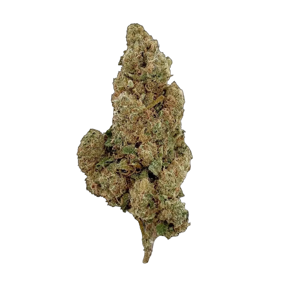 Amnesia 10-OH-HHC – flor 10-OH-HHC BUDZ DISTRICT