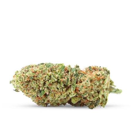 Cali GMO Cookies HHX – flor HHX BUDZ DISTRICT